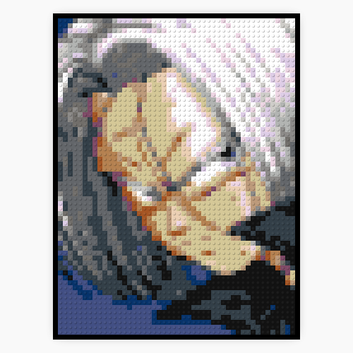 Trunks