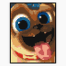 Bingo Puppy Dog Pals