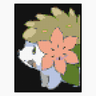 Shaymin