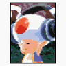 Toad