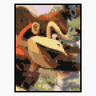 Donkey Kong