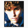 Newt Scamander