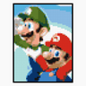 Mario et Luigi