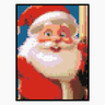 The Santa Clauses