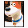 Max Pets