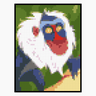 Rafiki
