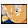 Trunks