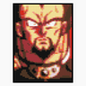 King Vegeta