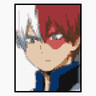Shoto Todoroki
