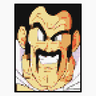 Mr. Satan