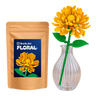 Yellow Chrysanthemum