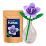 Hibiscus violet
