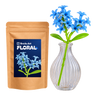 Blue Hyacinth