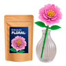 Pink peony