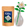 Rose blanche