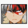 Shoto Todoroki