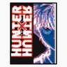 Hunter X Hunter