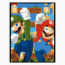 Mario et Luigi