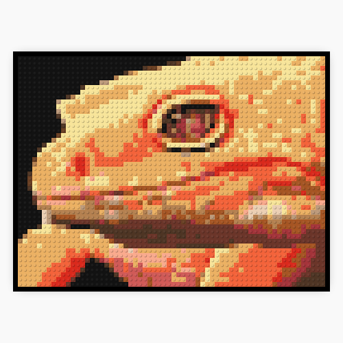 Lézard