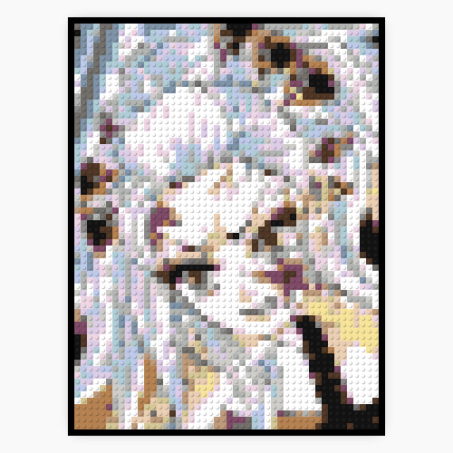 Daki